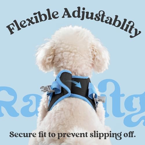rabbitgoo Dog Harness Small Sized and Leash Set, Step in Soft Vest - Image 6