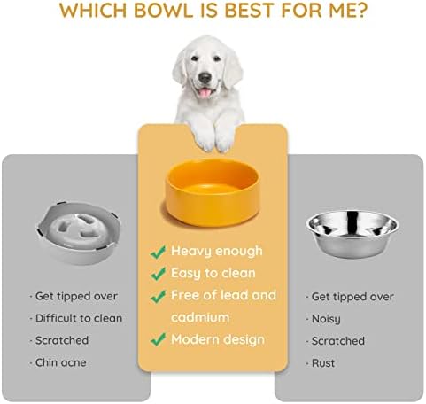 SPUNKYJUNKY 13.5OZ Ceramic Dog and Cat Bowl, Modern Cute Weighted Food Water Bowl for Replacement Yellow (1 Pack) - Image 4