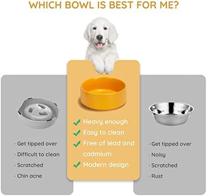 SPUNKYJUNKY 13.5OZ Ceramic Dog and Cat Bowl, Modern Cute Weighted Food Water Bowl for Replacement Yellow (1 Pack) - Image 4