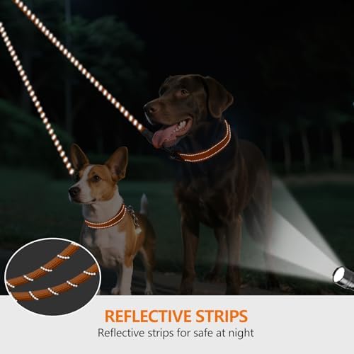 Taglory Double Dog Leash Coupler for Two Dogs, 1/3" Lightweight Dual Leash Extension for Small and Medium Dogs, No Tangle 360° Swivel, Reflective Rope, 30 Inch, Orange - Image 4