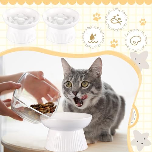Layhit 2 Pack Raised Slow Feeder Cat Bowls Ceramic Elevated Cat Food Bowls Anti Vomiting Slow Feeder for Dog and Kitten for Dry and Wet Food(White) - Image 5