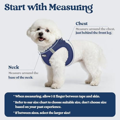rabbitgoo Dog Harness Medium Sized and Leash Set, Step-in Puppy Pet Vest - Image 2