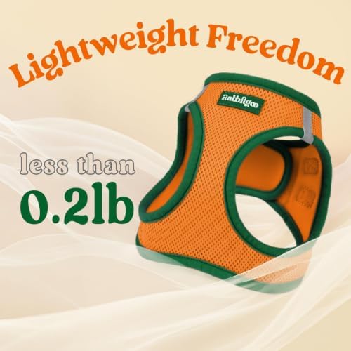 rabbitgoo Dog Harness Small Sized and Leash Set, Step in Soft Vest - Image 7