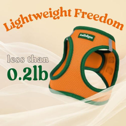 rabbitgoo Dog Harness Small Sized and Leash Set, Step in Soft Vest - Image 7