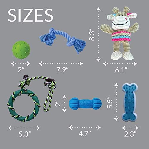 rocket & rex Puppy Chew Toys for Teething, Natural Rubber Set (6pk) - Image 3