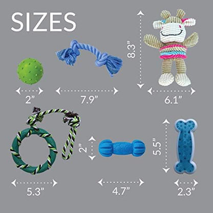 rocket & rex Puppy Chew Toys for Teething, Natural Rubber Set (6pk) - Image 3