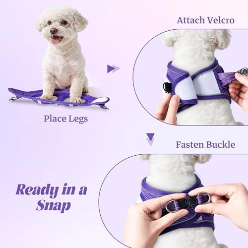 No Pull Dog Puppy Harness and Leash Set Reflective Mesh Vest Small - Image 4
