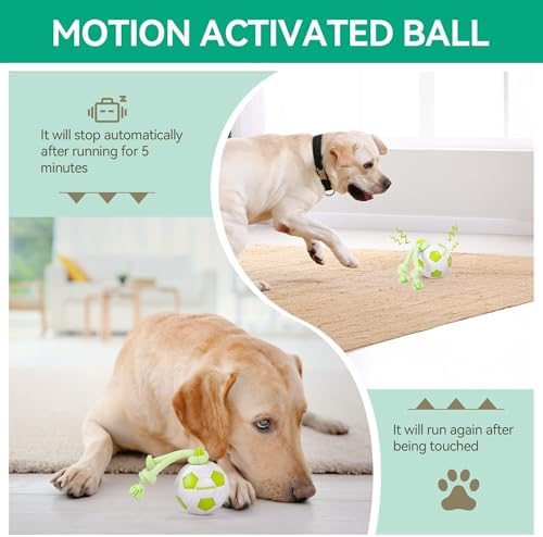 ALL FOR PAWS Interactive Dog Toys, Smart Dog Ball with Durable Rope, Automatic Moving and Rolling Ball Toys for Small Medium Large Dogs, Motion-Activated and USB Rechargeable - Image 4