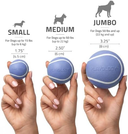 Playology Squeaky Chew Ball Dog Toy - Medium, Blueberry Scent - Image 5