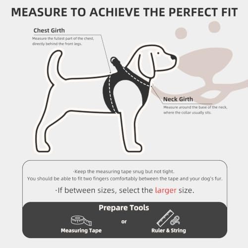 PUPTECK Dog Harness, Collar and Leash Set No Pull for Small Medium Sized - Image 2