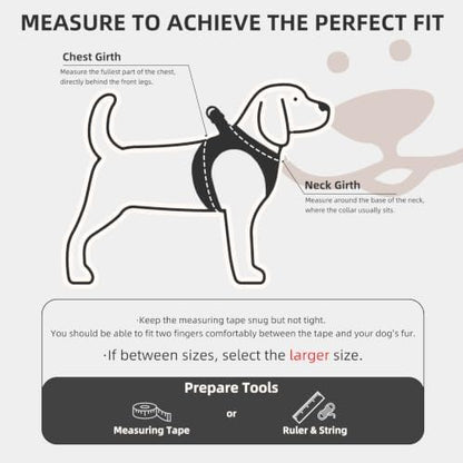 PUPTECK Dog Harness, Collar and Leash Set No Pull for Small Medium Sized - Image 2