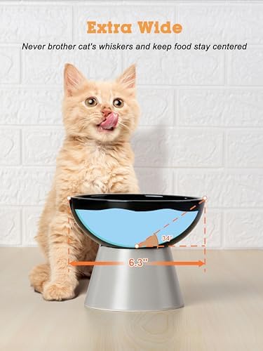 LoeJan Elevated Cat Food and Water Bowls Set, Extra Wide and Raised Ceramic Feeder, Anti-Vomit Whisker-Free Pressure Feeding Bowl for Kittens Adult Small Dogs (Black) - Image 4