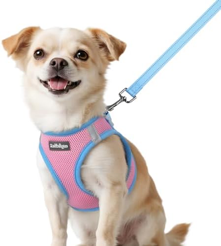 rabbitgoo Dog Harness Small Sized and Leash Set, Step in Soft Vest by rabbitgoo