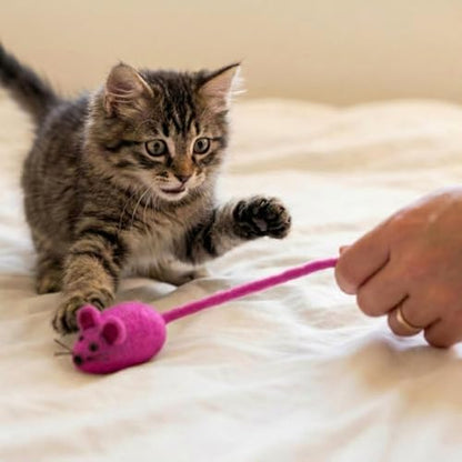 Glaciart One Felt Mouse Cat Toy – Soft Fuzzy Enrichment 100% Natural Wool - Interactive Catnip Play Cat Toy Set - Safe for Pets, Non-AZO Colored Dyes - 42” Long - Image 3