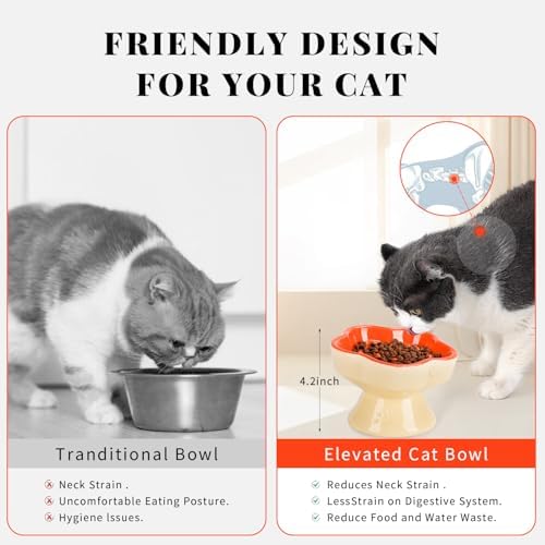 S&Q's CERAMICS Raised Slow Feeder Cat Bowl, Ceramic Glass Elevated Pet Food Bowl Small Dogs Slow Feeder, Flower Shaped Cute Dish for Dry and Wet Food (Orange, 5.8") - Image 5