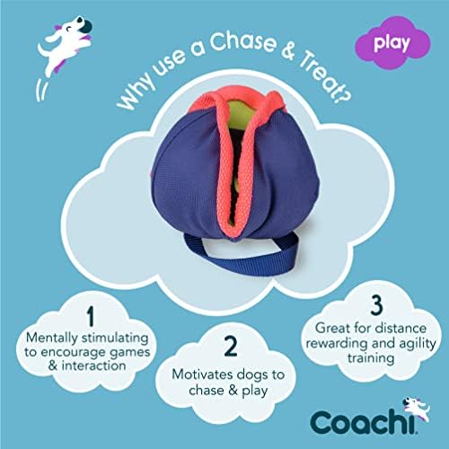 Company of Animals Coachi Chase & Treat - A Fun Enrichment Dog Toy - Image 2