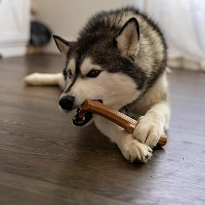 Pupstages Super Dogwood Stick Dog Chew Toy, Made in USA, Medium, 9.5" - Image 6