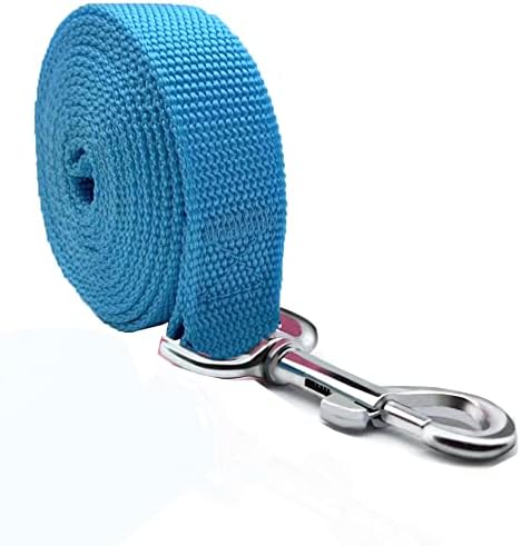 TAIAN 5 FT Strong Dog Leash, Nylon Dog Leashes for Small Medium Large Dogs Blue by TAIAN