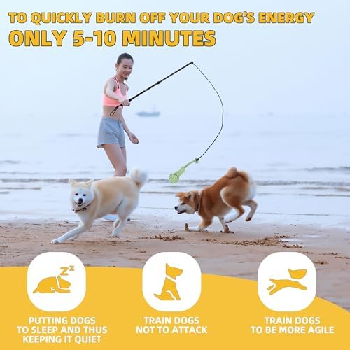 Flirt Pole Dogs, Dog Chase Toy with Squeakers Inside, Dog Fishing Pole Toy for Large Medium Small Dogs to Keep The Puppy Entertained and Physically Exhausted, Rope+Ball