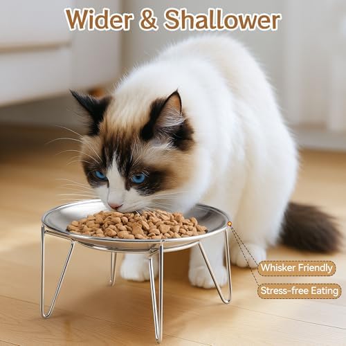Elevated Cat Bowls, Wide Stainless Steel Cat Food Bowls with Metal Stand Whisker Stress-Free, Raised Food and Water Dish for Cats, Kitten, Puppies and Small Dogs - Image 3