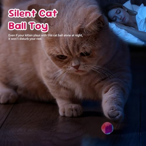 FuninCrea 20 Pcs Cat Ball Toy, 1.18-Inch Rainbow Cat Toy Ball Colorful Cat Pom Pom Balls with a Small Pouch, Fuzzy Kitty Balls for Cats, Kitten Toys for Playing Training Chasing (A,Small) - Image 3