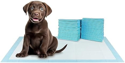 BV XXL Puppy Pads 20 Count 36" x 30" - Leak-Proof Pee Pads for Dogs with 6-Layer Design, Rapid Dry Sheet & Attractant - Dog Pad Extra Large with Odor Control - Perfect for Big Dogs & Indoor Use - Image 7
