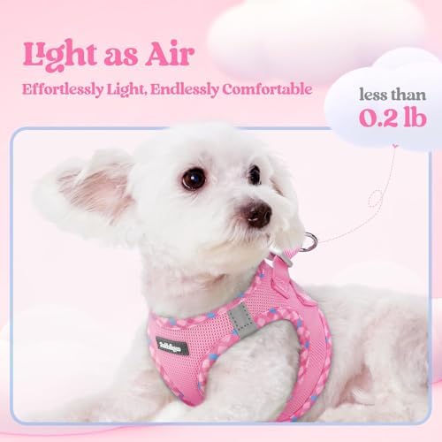 rabbitgoo Dog Harness Medium Sized and Leash Set, Step-in Puppy Pet Vest - Image 4