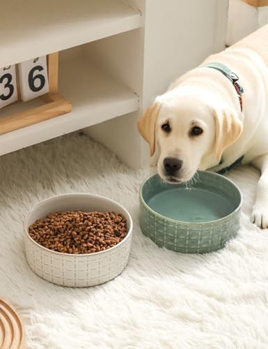 Ceramic Dog Bowls, Dog Food Bowls Water Bowl, 6.5inch Dogs Dishes for Middle and Small Size Dogs, Puppy Plates for Food, White - Image 7