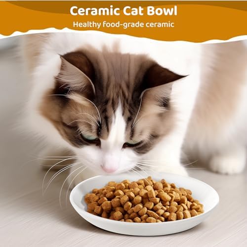 Ceramic Cat Food Plates: Cat Wet Food Bowls/Whisker Fatigue Cat Dishes & Shallow Bowls for Kittens and Small Animals1 - Image 2