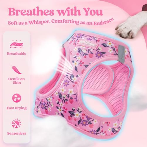 rabbitgoo Dog Harness Small Sized and Leash Set, Step-in Puppy Pet Vest - Image 4