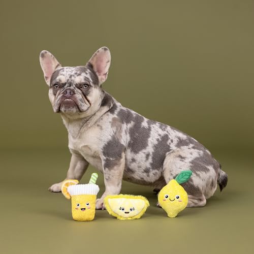 Fringe Studio Plush Dog Toy, 3 Pieces Set, Sour You Doing?, Pet Shop Collection (662169) - Image 3