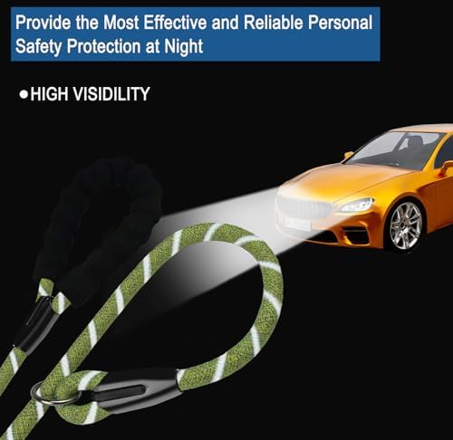 6 FT Heavy Duty Dog Leashes with Comfortable Padded Handle,Blue Green - Image 3