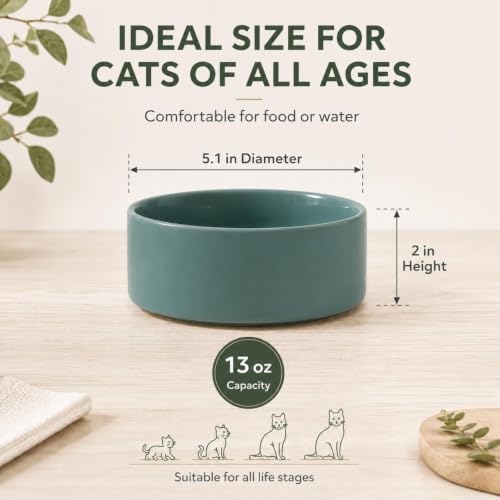 Havniva Cat Bowls Set of Two, 5.1” Ceramic Cat Food Bowls, Cat Water Bowl - Image 2