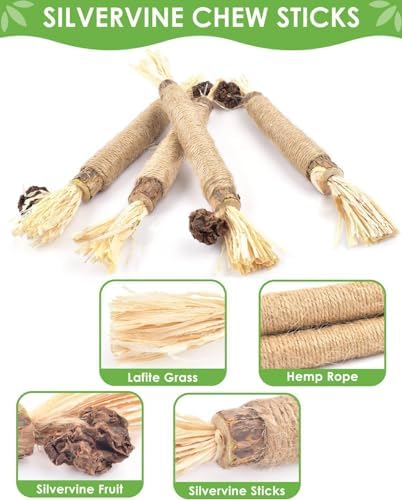 8Pack Silvervine Sticks for Cats Natural Dental Chew Catnip Toys, Teeth Cleaning & Gum Care, Kitten-Safe Indoor Cat Treat - Image 4