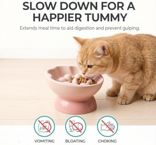 Ceramic Slow Feeder Cat Bowl, Elevated Tilted Design, Pink - Image 2