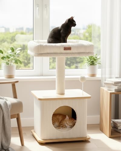 Small Cat Tree for Indoor Kittens, 30" Compact Modern Cat Tower by Purrlato