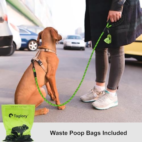 Taglory Rope Dog Leash for Small Medium Dogs, 6 FT Padded Handle, Green - Image 2