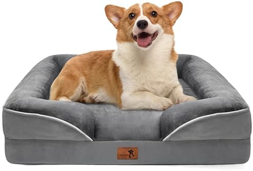 Spotted Play Orthopedic Dog Bed with Sides - Dog Sofa Beds for Medium Dogs, Supportive Foam Pet Couch Bed with Washable Removable Cover, Waterproof Lining and Non-Slip Bottom, Grey - M by Spotted+Play
