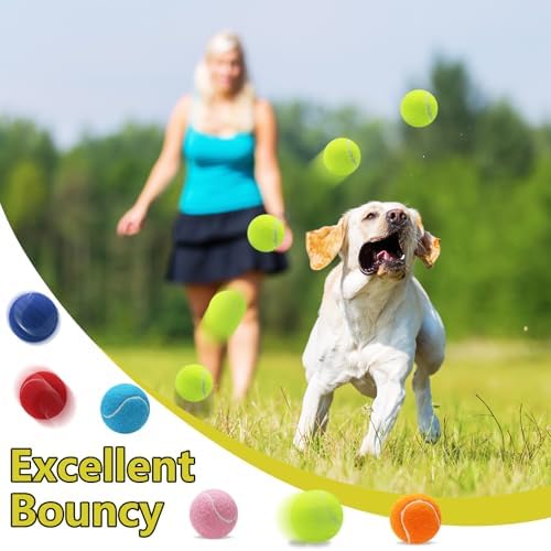 Swingers Squeaky Tennis Balls for Dog, 2.5 Inch Training Tennis Balls - Image 3