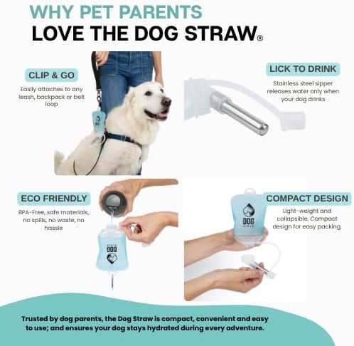 – The Ultimate Portable Water Solution for Dogs, 5oz Blue
