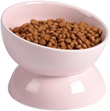 ABRUTY Cat Water Bowl, 16 OZ Ceramic Elevated Cat Bowls, 15° Tilted and Raised Pet Food Dish, Anti Vomiting Protect Pets' Spines and Whisker Fatigue by ABRUTY