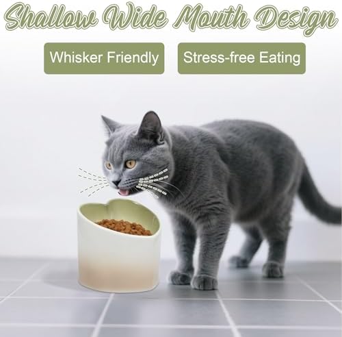 Ceramic Raised Cat Bowl Elevated Cat and Dog Bowls Whisker Friendly Tilted Elevated Cats Food Bowl Anti Vomit Pet Dish 4.72inches Height for Pet Easy Eating, Protect pet's Spine - Image 6