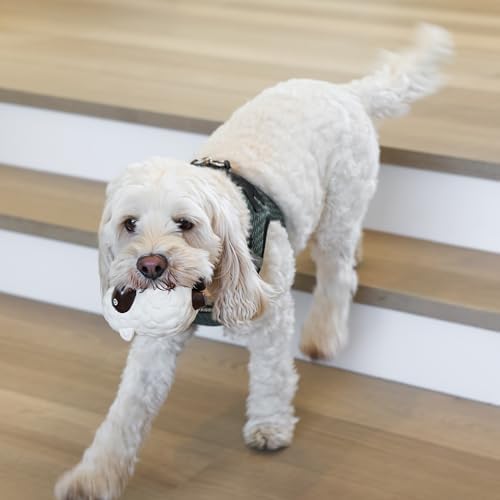 rocket & rex Puppy Chew Toys for Teething, Rope & Plush Set (3pk) - Image 2