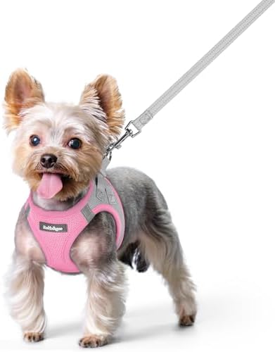rabbitgoo Dog Harness Small Sized and Leash Set, Step-in Puppy Pet Vest by rabbitgoo