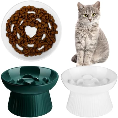 Tioncy 2 Pcs Ceramic Elevated Slow Feeder Cat Bowl, Dark Green, White by Tioncy