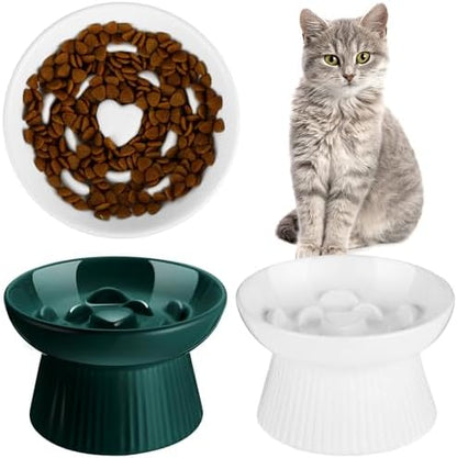 Tioncy 2 Pcs Ceramic Elevated Slow Feeder Cat Bowl, Dark Green, White by Tioncy