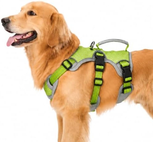 Huntboo Escape Proof Dog Harness, Dachshund Harness, Reflective Dog Harness with Handle, Durable,Adjustable Vest for Small Medium Large Dogs Walking, Training, and Running Gear (Green,L) by Huntboo