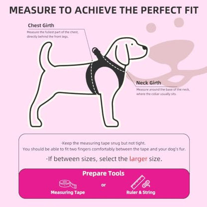 PUPTECK Dog Harness, Collar and Leash Set No Pull for Small Medium Sized - Image 2