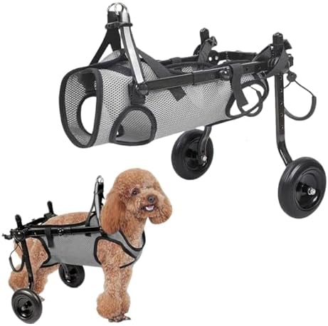 Grey Dog Wheelchair for Back Legs,Pet Walk Tools Comfortable Breathable Mesh for Dogs，Adjustable Mobility Aid for Disabled Pets, Leg Brace and Hip Support by EVERDIJ