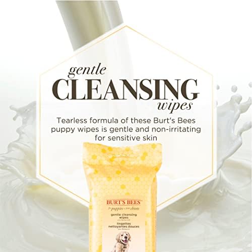 Burts Bees for Pets Gentle Cleansing Puppy Wipes, Buttermilk, 50 Count - Image 3